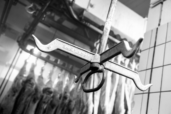 2014 02 19 Abattoir LuxeuilIMG 8694